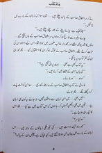 Load image into Gallery viewer, Qasas-al-Anbiya 30 Books (for Children)