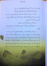 Load image into Gallery viewer, Qasas-al-Anbiya 30 Books (for Children)