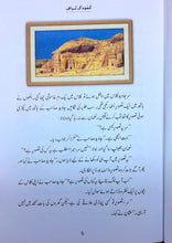 Load image into Gallery viewer, Qasas-al-Anbiya 30 Books (for Children)