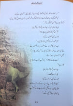 Load image into Gallery viewer, Qasas-al-Anbiya 30 Books (for Children)