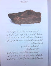 Load image into Gallery viewer, Qasas-al-Anbiya 30 Books (for Children)