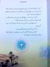 Load image into Gallery viewer, Qasas-al-Anbiya 30 Books (for Children)