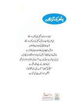 Load image into Gallery viewer, Pathar Ki Gawahi