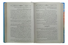 Load image into Gallery viewer, Aina-e-Parweziyat