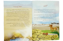Load image into Gallery viewer, Bacho Kay Liye Sunehri Seerat Se Muntakhab Waqiyat
