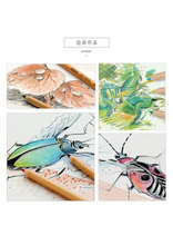 Load image into Gallery viewer, FABER CASTELL PITT PASTEL PENCILS TIN OF 12