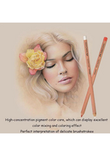 Load image into Gallery viewer, FABER CASTELL PITT PASTEL PENCILS TIN OF 60