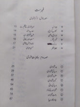 Load image into Gallery viewer, Chamn e Saboohi
