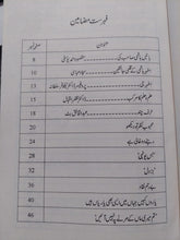 Load image into Gallery viewer, Batein Hashmi Sahab Ki
