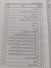 Load image into Gallery viewer, Seerat e Nabvi
