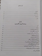 Load image into Gallery viewer, Tafheem ul Siyasat

