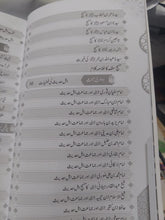 Load image into Gallery viewer, Manhaj Salaf Saaliheen
