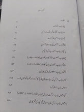 Load image into Gallery viewer, Turkiya
