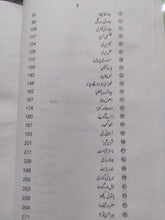 Load image into Gallery viewer, Chamn e Saboohi
