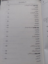 Load image into Gallery viewer, Aag, Ilfaz, Aur Sawal

