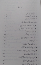 Load image into Gallery viewer, Kamyab Zindagi
