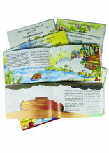 Load image into Gallery viewer, Prophets&#39; Stories from Quran (12 Books Box Set)
