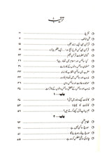 Load image into Gallery viewer, Science Quran Kay Hazoor Main
