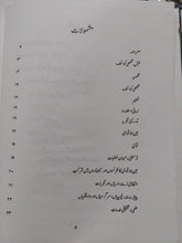 Load image into Gallery viewer, Khazina e Hayat
