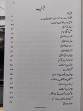 Load image into Gallery viewer, Hazrat Muhammad SAW Kay Ahsanaat

