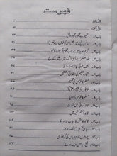 Load image into Gallery viewer, Kashmir - 72 Dinon Ki Kahani
