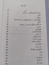 Load image into Gallery viewer, Katha Aik Mahigeer Ki
