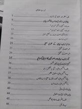 Load image into Gallery viewer, Ghamdi Nazaria Bayan o Hadees
