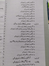 Load image into Gallery viewer, Dabstaan e Mazahib
