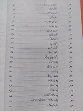 Load image into Gallery viewer, Japan Mein Urdu Maktoob Nigari
