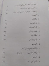 Load image into Gallery viewer, Turkiya
