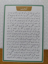 Load image into Gallery viewer, Ahadees Fatn
