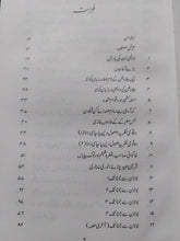 Load image into Gallery viewer, Safr o Hizr
