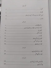 Load image into Gallery viewer, Secularism
