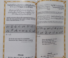 Load image into Gallery viewer, Kalam e Iqbal Mein Aqs e Quran
