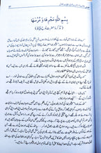 Load image into Gallery viewer, Qasas ul Anbia (2 Vol set)
