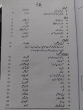 Load image into Gallery viewer, Adab Lateef
