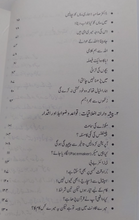 Load image into Gallery viewer, Kamyab Zindagi
