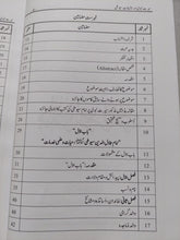 Load image into Gallery viewer, Seerat e Nabvi

