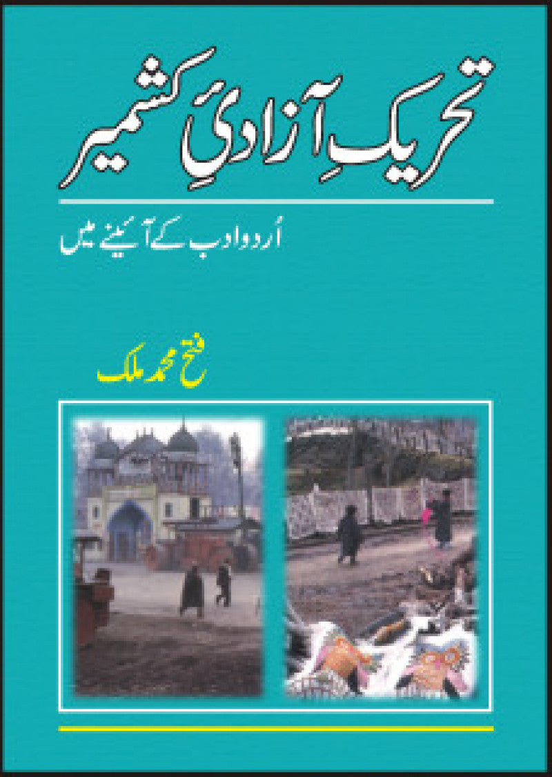 Tehreek Azadi Kashmir, Urdu Adab Kay Aienay Main