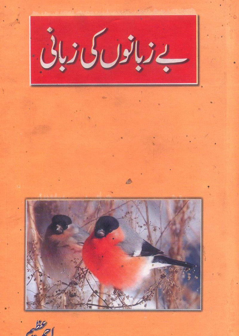 Be Zubano Ki Zubani