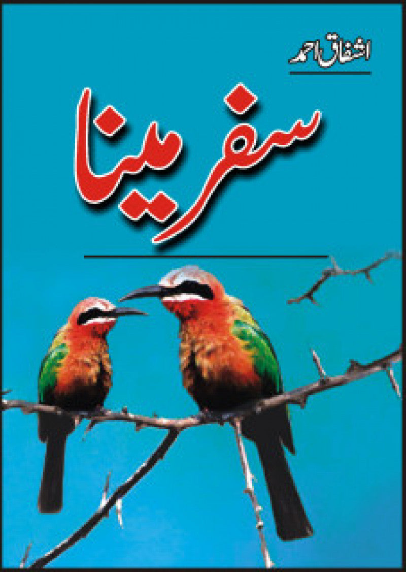 Safar-I Mina