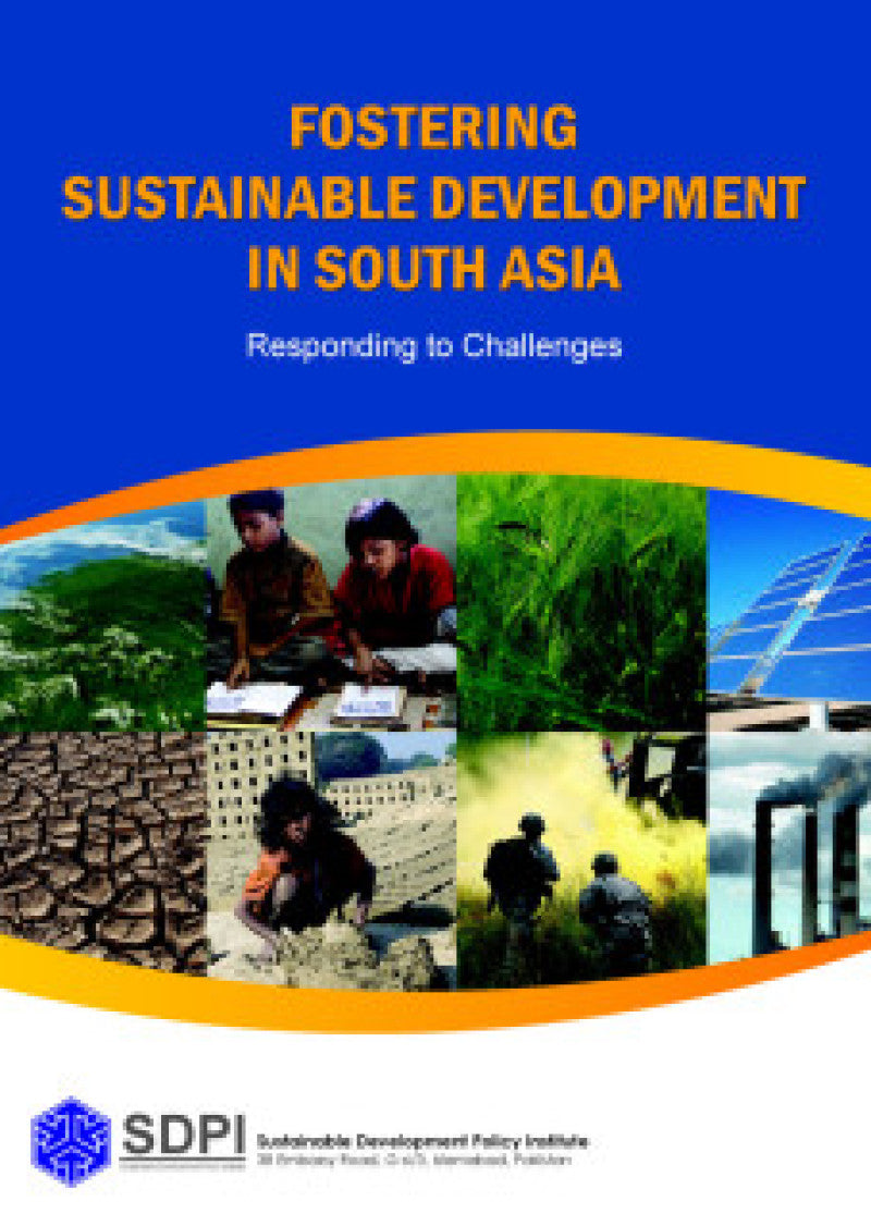 Fostering Sustainable Development In South Asia