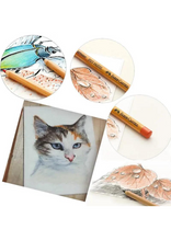 Load image into Gallery viewer, FABER CASTELL PITT PASTEL PENCILS TIN OF 60
