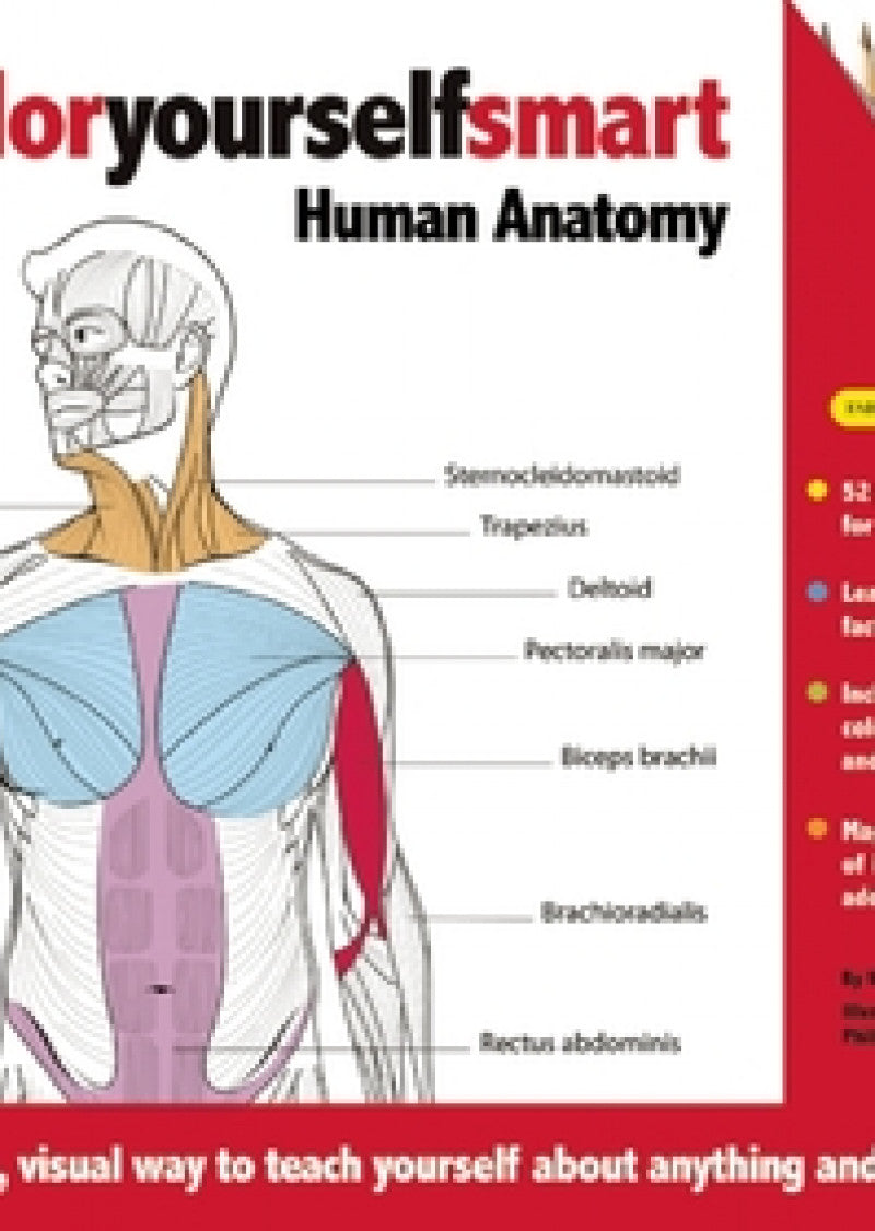 Coloryourself Smart: Human Anatomy (with Color Kit)